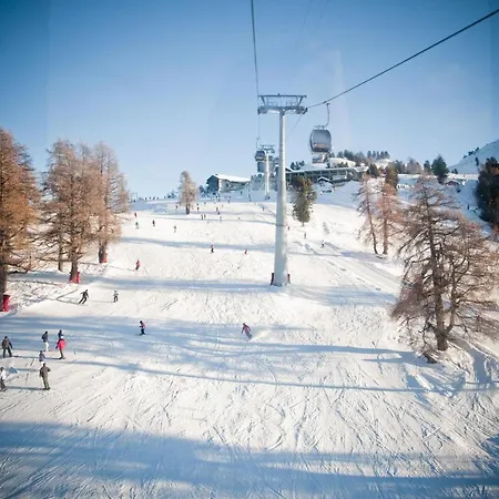 Paradise Mountain & Luxe *