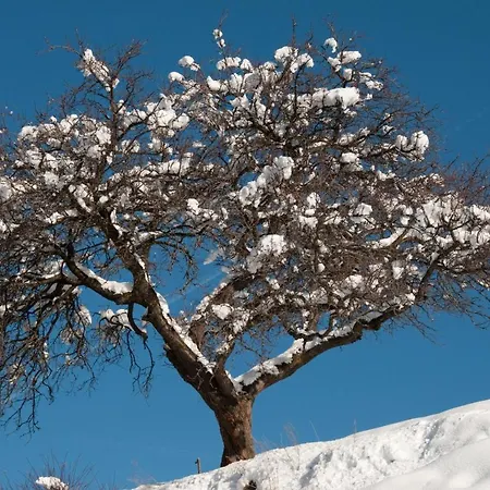 Paradise Mountain & Luxe * Veysonnaz