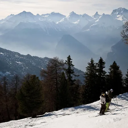 Paradise Mountain & Luxe